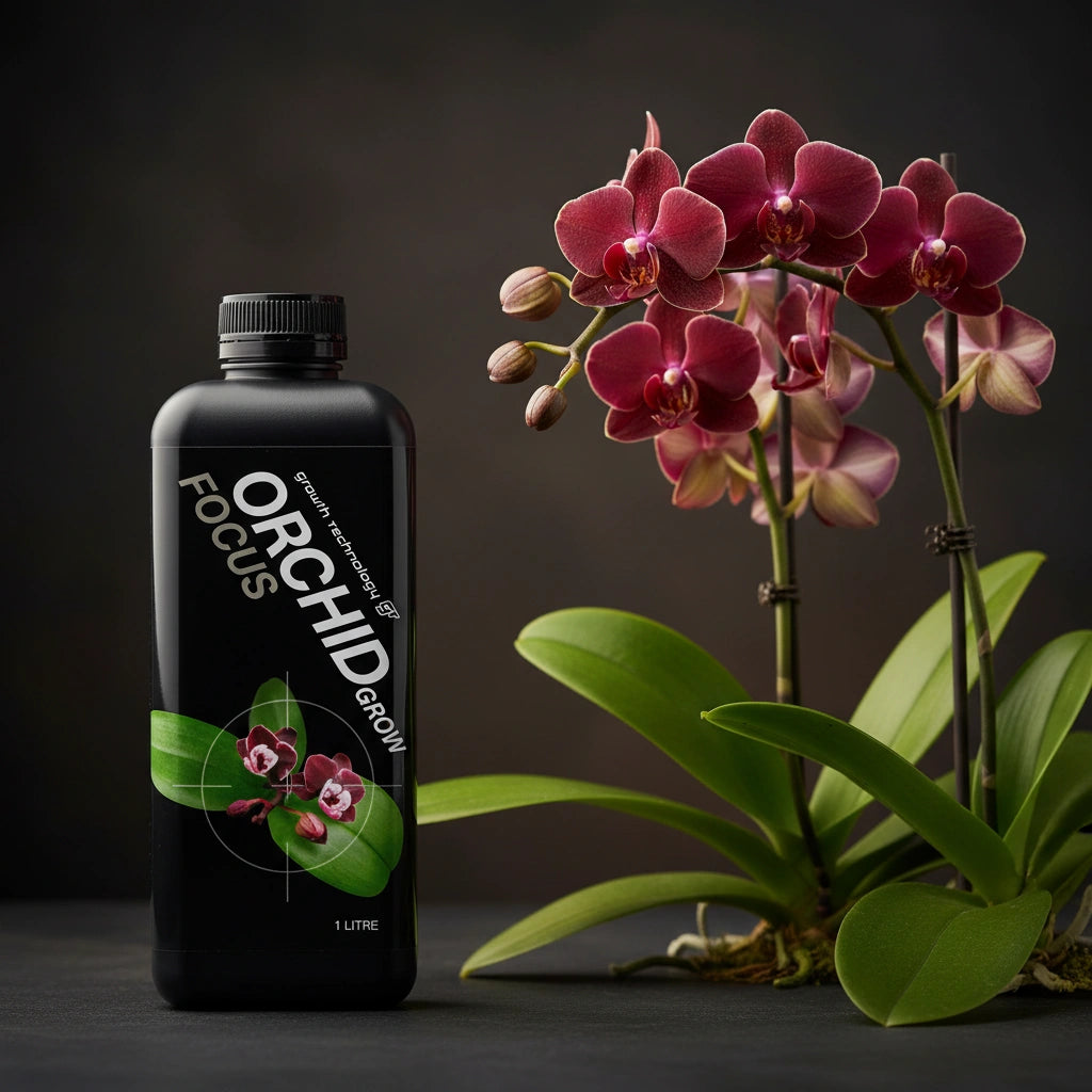 Growth Technology Orchid Grow Focus Fertiliser