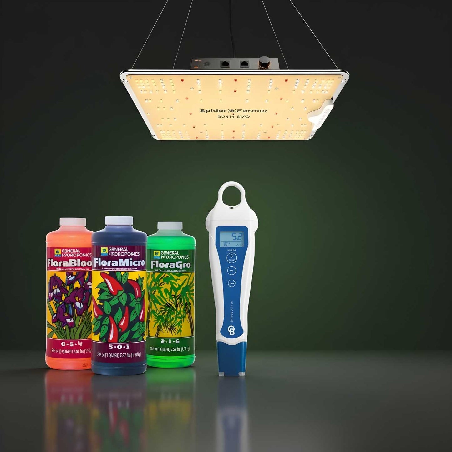 Hydroponic Starter Kit