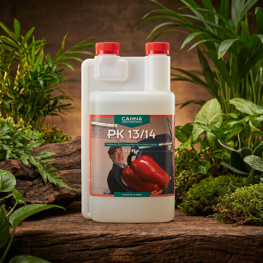 CANNA PK 13/14 Flowering Booster | 250ml, 1L, 5L, 10L