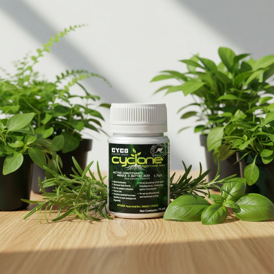 Cyco Cyclone Cloning Gel 75ml | Root Stimulator for Cuttings
