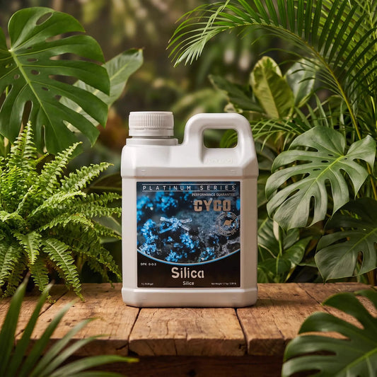 Cyco Platinum Series Silica | 250ml, 1L, 5L, 20L | Potassium Silicate Stem and Cell Strengthener