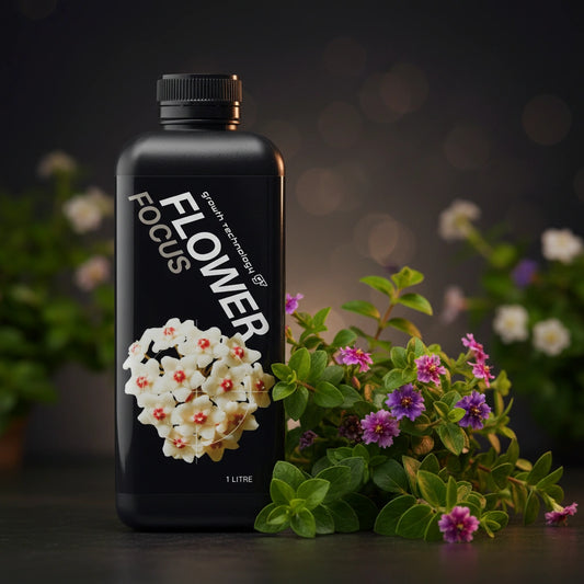Growth Technology Flower Focus – Premium Liquid Nutrient for Flowering Plants