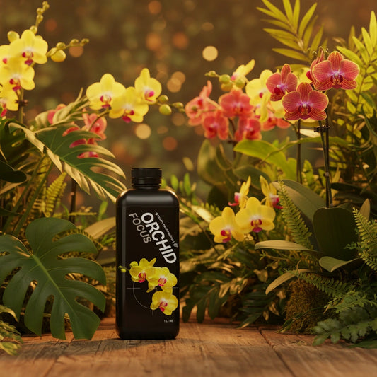 Growth Technology Orchid Focus Fertiliser | Complete Orchid Nutrient