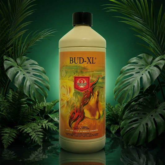 House & Garden Bud XL | Bloom Booster for Bigger, Sweeter Flowers and Fruits | 250ml to 20L