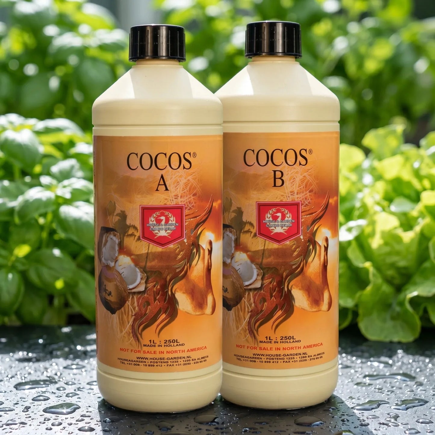 House & Garden Cocos A&B | Premium Coco Coir Base Nutrient Set | 1L to 20L