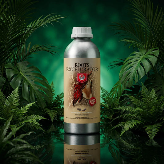 House & Garden Roots Excelurator Silver | Flagship Root Stimulator for Hydro, Coco and Soil