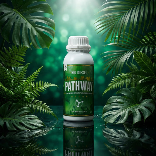 Bio Diesel Pathway 40% Mono Silicic Acid | 100ml, 250ml, 500ml, 1L