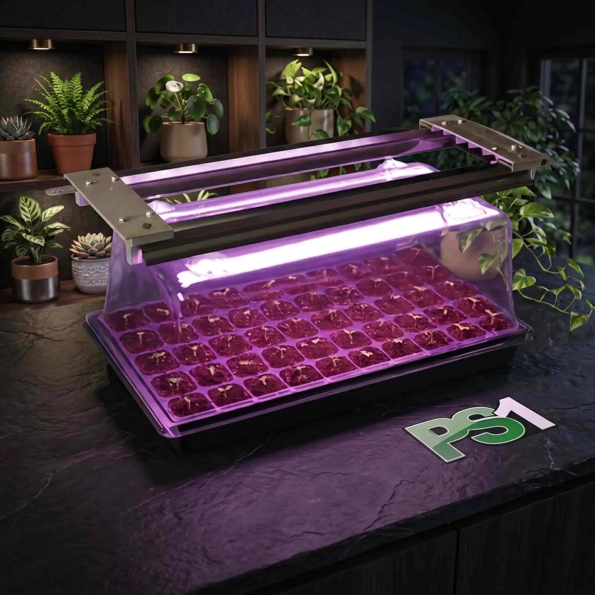 Mojo Cow PS-1 T5 Propagation Light | Purple 8500K & White 6400K