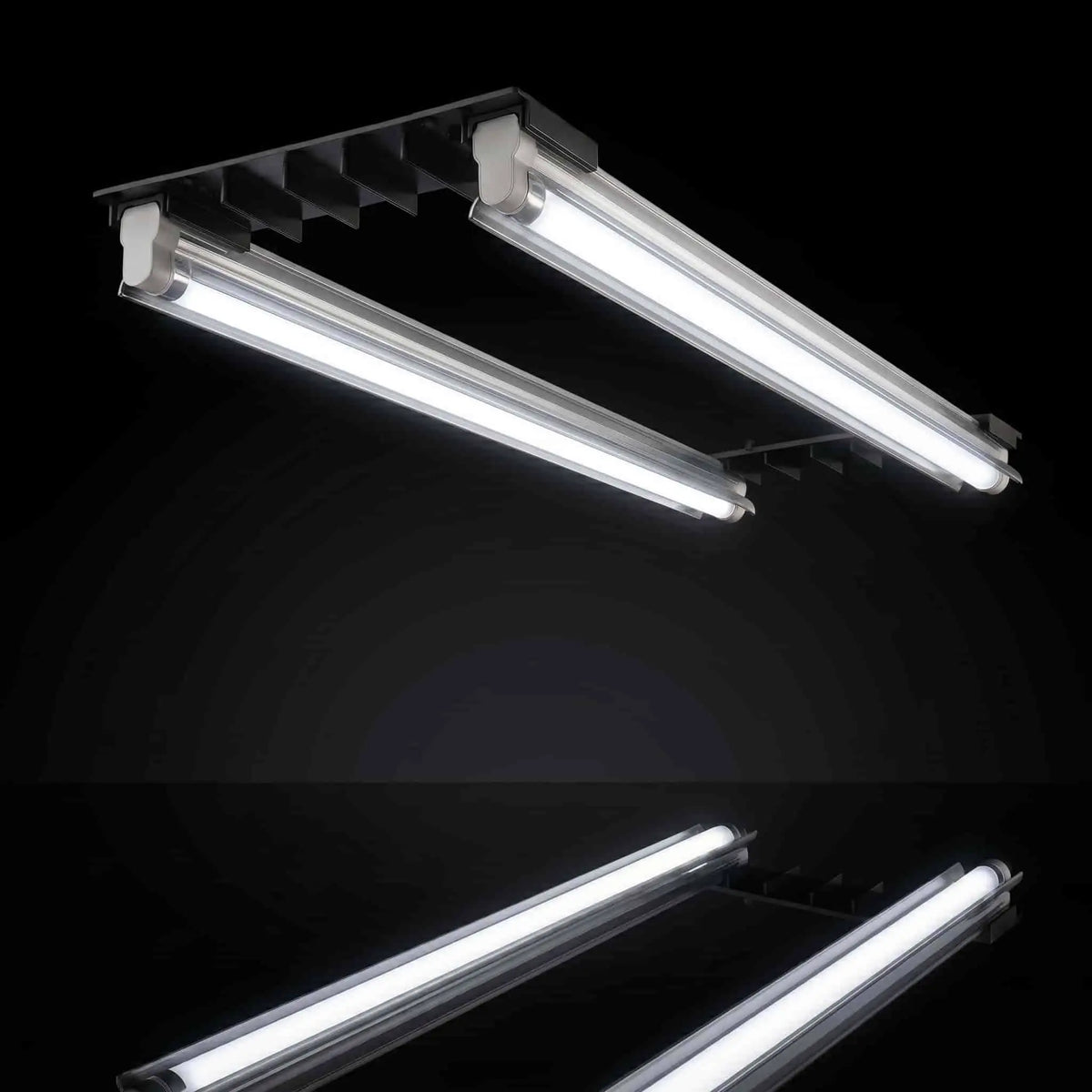 Mojo Cow PS-1 T5 Propagation Light | Purple 8500K & White 6400K