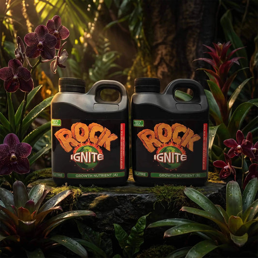 Rock Nutrients Rock Ignite Grow A and B | 2x1L, 2x5L, 2x20L | 2 Part Veg Base Nutrient