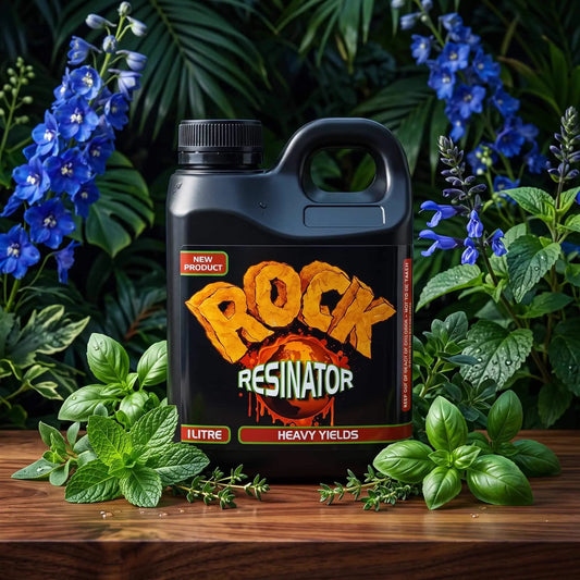 Rock Nutrients Rock Resinator | 1L, 5L, 20L | Bloom Booster
