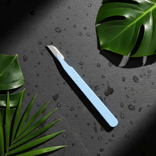 Disposable Stainless Steel Scalpels | Carton of 10