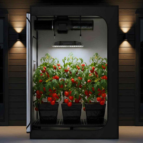 Hydroponics & Nutrient Store Sydney | Growers Depot